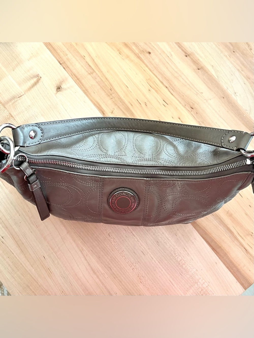 Coach Signature Taupy Metallic Leather Hobo Bag - Picture 4 of 11